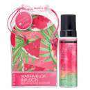 Watermelon Kit 