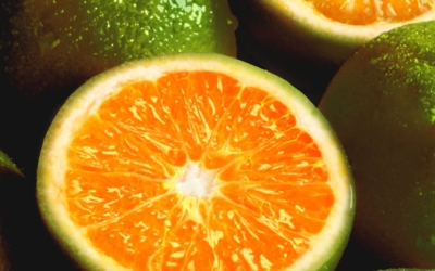Ingredient Spotlight: The Benefits Of Vitamins C & D